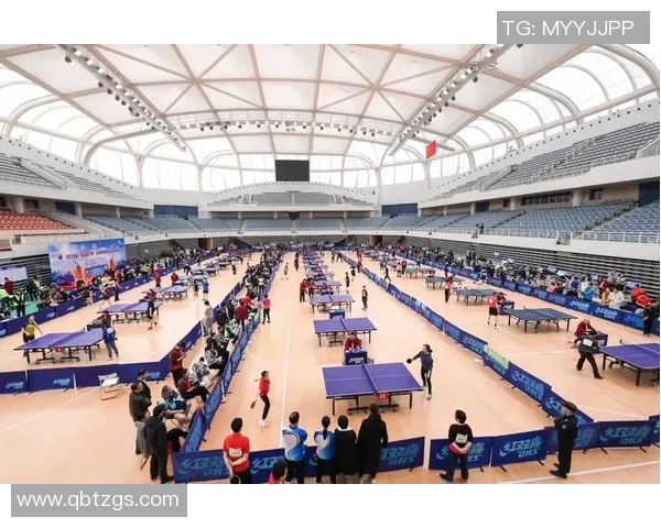 上海乒乓球队的精神风貌与发展历程深度解析